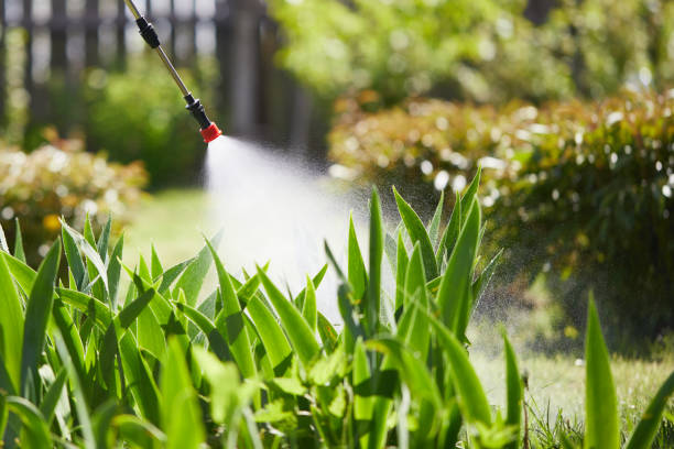 24/7 Emergency Wasp Removal experts in Forestbrook, SC