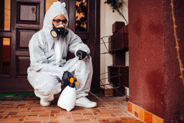 Reliable Wasp Removal contractor in Forestbrook, SC by Show Me Pest Control